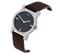 Calvin Klein Midsize Black Dial Brown Strap Watch