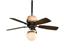 Fanimation Ceiling Fan - 210457