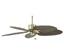 Fanimation FP320PB Islander Polished Brass Ceiling...