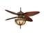 Fanimation Lauren Brooks LB230VZ Venetian Bronze...