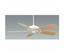 Fanimation TF700WH Edgewood? Deluxe White Ceiling