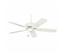 Fanimation TF900WH Edgewood? White Ceiling