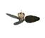 Fanimation Treventi LX25PW Pewter Ceiling Fan