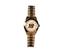 Gametime 43 Bobby Labonte Sapphire Series Watch