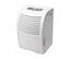 Haier HD306 Dehumidifier