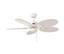 Hampton Bay 48 In. Palm Beach in Textured White Fan