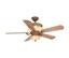 Hampton Bay 52 In. 5-Blade Fan' Aged Wood/Gold'...