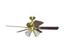 Hampton Bay 52 In. Ant. Brass Redington...