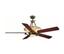 Hampton Bay 60 In. St. Regis Fan' Ancient Bronze