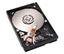 IBM (06G6571) 0.344 GB Hard Drive