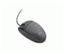 IBM (09N5515) Mouse