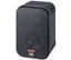 JBL Control 1 Pro Main / Stereo Speaker