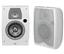 JBL N24 Main / Stereo Speaker