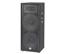 JBL SF25 Main / Stereo Speaker