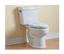 Jacuzzi Maxima DP55959 White Toilet Bowl Only