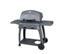 Kenmore 505 sq. in. Cooking Area Gas Grill...