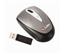 Labtec Wireless Optical Notebook Mouse (XS36574)