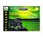 Mad Dog Multimedia Champion GeForce2 MX400 (64 MB)...