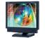 NEC 1560M-BK (Black) 15 in. Flat Panel LCD Monitor