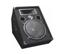 Nady Systems NADY PFW-12 400 Watt Monitor Speaker ...