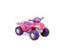 National Little Tikes Junior Quad Pink