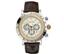 Nautica Speciality N15006g Watch for Men