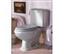 Oki Electric Industry Porcher - Toilet Seat -...