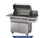 Pacific International S36NG Gas Grill