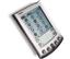 Palm Vx (10 Pack) Handheld