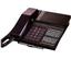 Panasonic (79-100-0000) Corded Phone