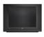 RCA 24F524T 24 inch TV