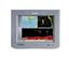 Raymarine M1500 15 in. Flat Panel LCD Monitor