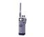 Raymarine Ray100VHF 2-Way Radio