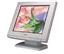 Sampo PD 80A (Gray) 17 in. Flat Panel LCD Monitor