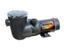 Waterway Supreme Hi Flo Pump Dual Speed 2 Hp