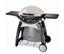 Weber Q300 Grill