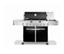 Weber Summit E-620 Gas Grill