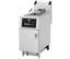 Wells WFGA-60FS Deep Fryer