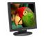 X2Gen (MG19MY) (Silver) 19 inch LCD Monitor