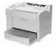 Xante Accel-a-Writer 3N Laser Printer