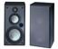 Yamaha NS-A60X Main / Stereo Speaker