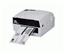 Zebra T300 Thermal Printer