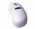 Belkin Netmaster Scroll Mouse