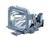 Sanyo (6103007267) Projector Lamp for PLC-XW20A