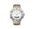 Timex 29581 Wrist Watch